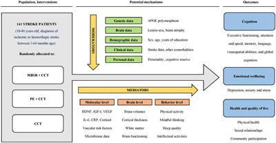 Effects and mechanisms of mindfulness training and physical exercise on cognition, emotional wellbeing, and brain outcomes in chronic stroke patients: Study protocol of the MindFit project randomized controlled trial